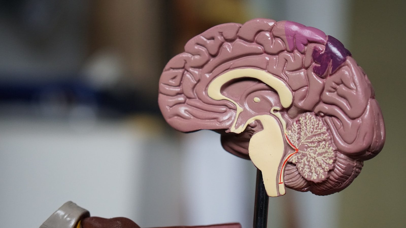 Can dementia be predicted? And, if so, can it then be prevented?